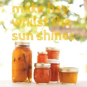 Preserving summer foods