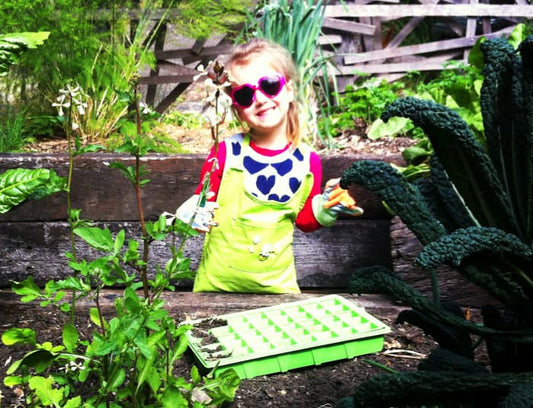 Cleaning Eating Living at home - in the organic vegetable garden