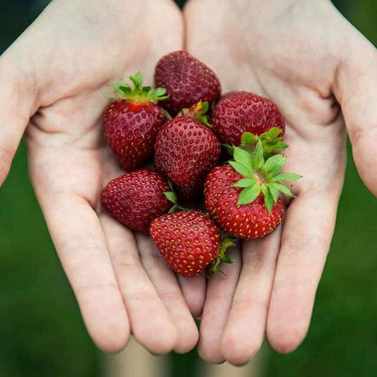 With these 10 foods you can eat yourself younger!