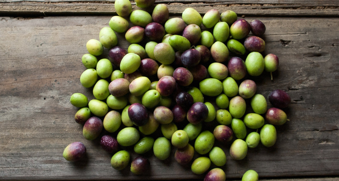 beautifood bite | olives