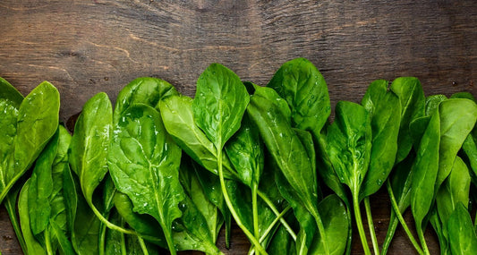 beautifood bite | spinach