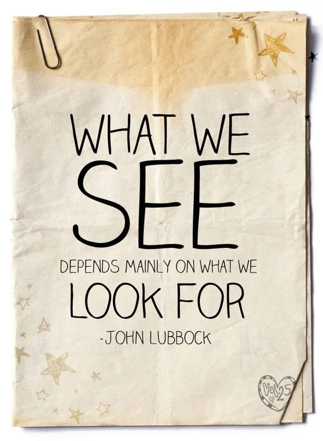 What we see quote