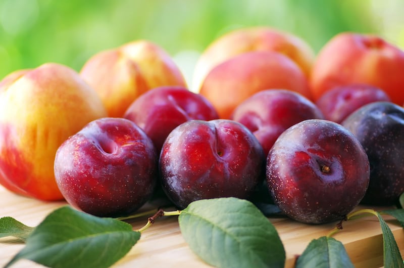 luk beautifood plums