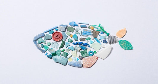 Should You be Concerned about Microplastics?