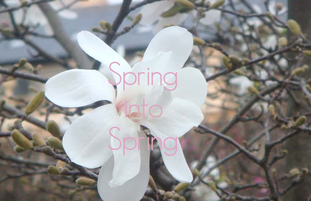Monday Mantra | Spring into Spring