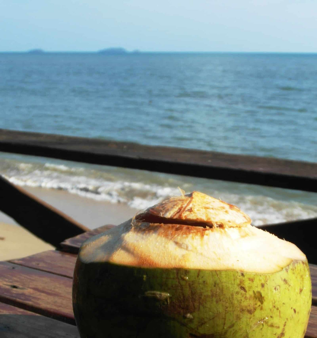 fresh-coconut-drink-by-the-ocean