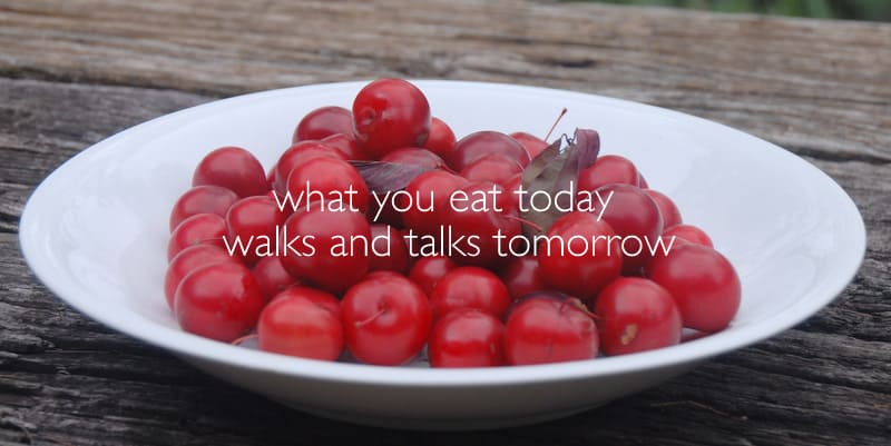 what-you-eat-today