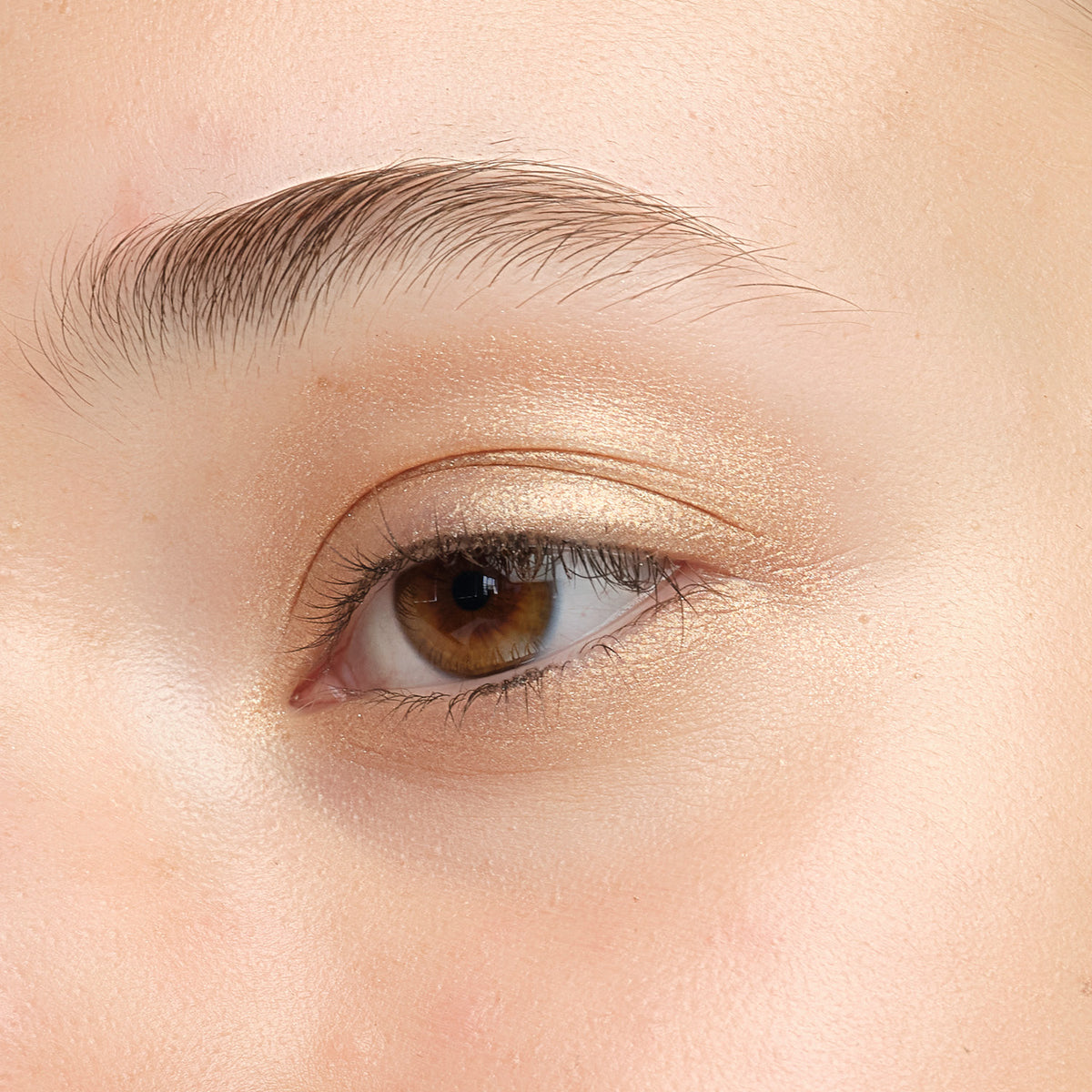 Lük Beautifood Luminous Eye Crayon in Champagne — Champagne eyeshadow on the open eye