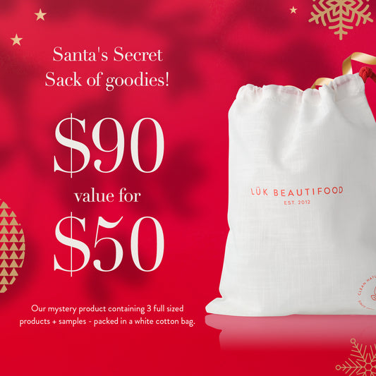 Santa's Secret Sack