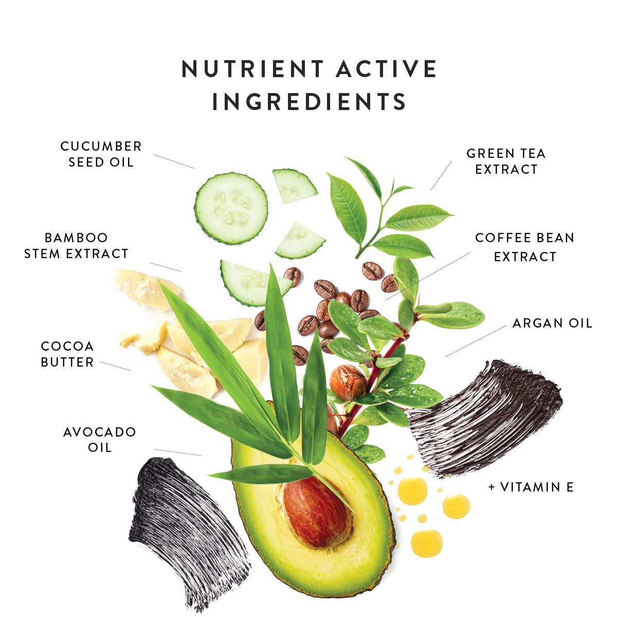Nutrient Active Ingredients in Lash Nourish Natural Mascara