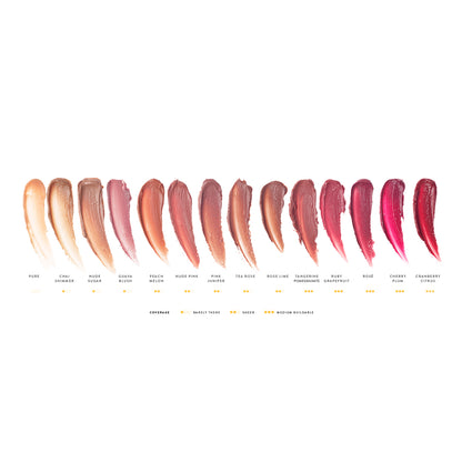 Lip Nourish Natural Lipstick - Shade Swatches with description
