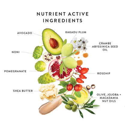 Nutrient active ingredients in LÜK Beautifood Instant Glow Skin Tint